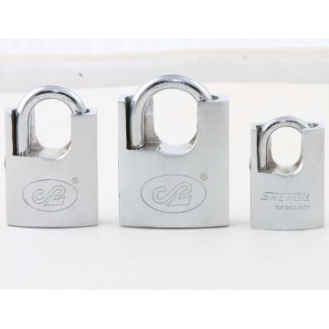 Shackle Protected Computer Padlock